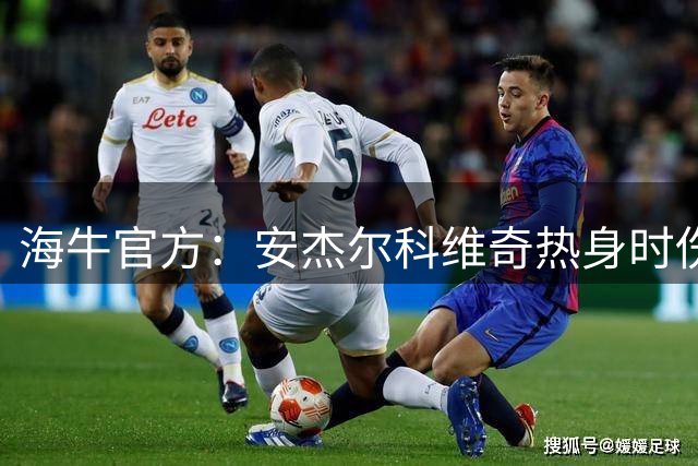 海牛官方：安杰尔科维奇热身时伤退，刘军帅顶替首发